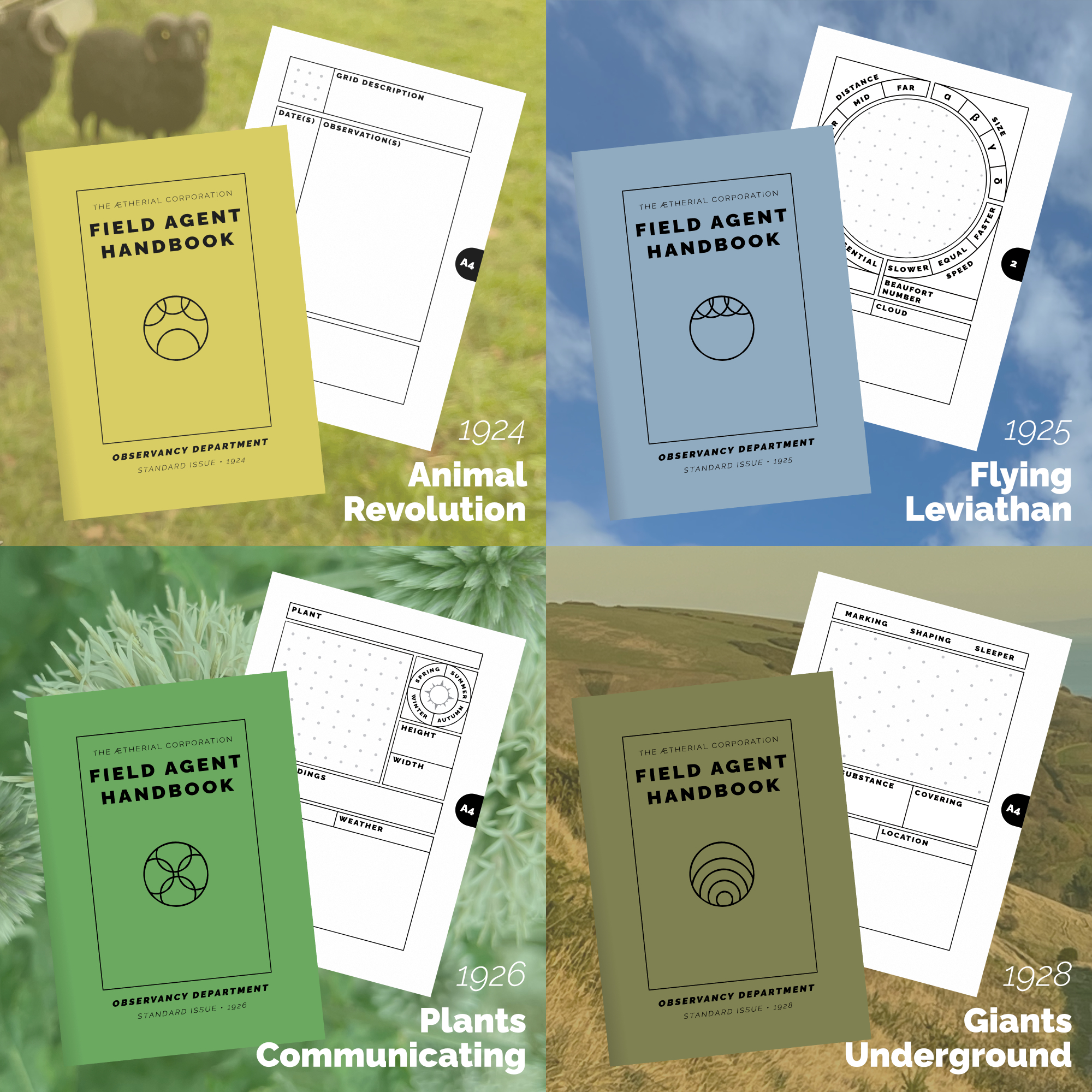 Cover of each book in yellow, blue, green and brown with its unique worksheet